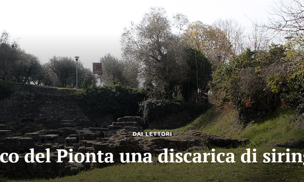 l’Ortica – Parco del Pionta una discarica di siringhe